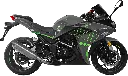F22 Gris (SMALL).webp