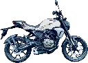 F16 Viper Blanca (SMALL 2).webp